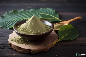 Are Kratom edibles suitable for beginners?